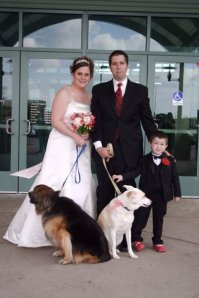 weddingdogs